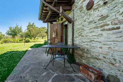 Landejendom i Gubbio, Perugia, Gubbio - € 690.000 | Ref: DIR690ASE - foto 17