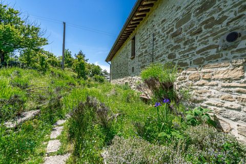 Landejendom i Gubbio, Perugia, Gubbio - € 690.000 | Ref: DIR690ASE - foto 20