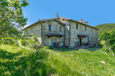 Landejendom i Gubbio, Perugia, Gubbio - € 690.000 | Ref: DIR690ASE - foto 24