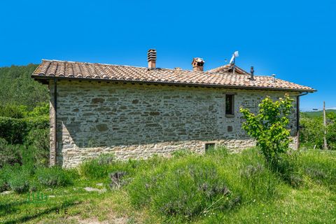 Landejendom i Gubbio, Perugia, Gubbio - € 690.000 | Ref: DIR690ASE - foto 26
