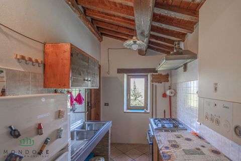 Landejendom i Gubbio, Perugia, Gubbio - € 690.000 | Ref: DIR690ASE - foto 42
