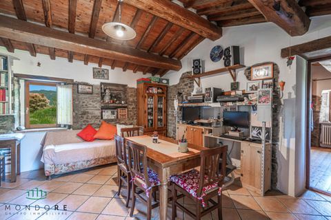 Landejendom i Gubbio, Perugia, Gubbio - € 690.000 | Ref: DIR690ASE - foto 43
