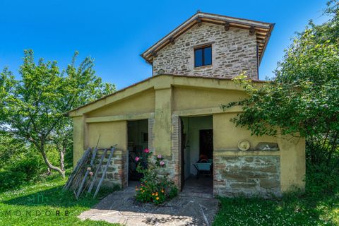 Landejendom i Gubbio, Perugia, Gubbio - € 690.000 | Ref: DIR690ASE - foto 14