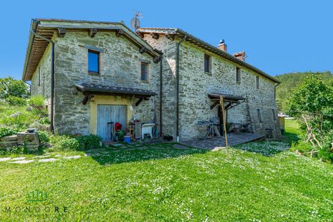Landejendom i Gubbio, Perugia, Gubbio - € 690.000 | Ref: DIR690ASE - foto 22