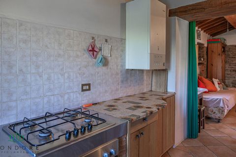 Landejendom i Gubbio, Perugia, Gubbio - € 690.000 | Ref: DIR690ASE - foto 40