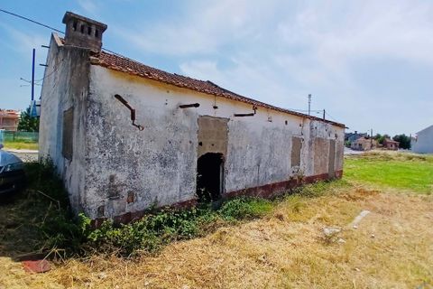 Villa i Entroncamento, Santarem, Entroncamento - € 92.000 | Ref: TL037 - foto 4