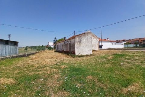 Villa i Entroncamento, Santarem, Entroncamento - € 92.000 | Ref: TL037 - foto 15