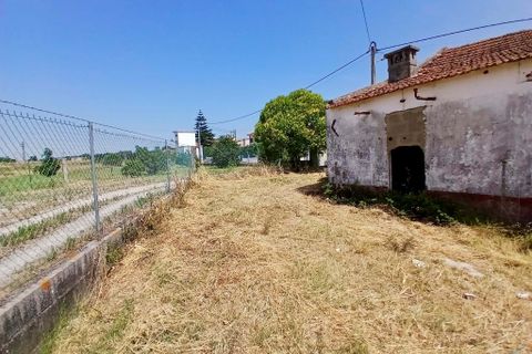 Villa i Entroncamento, Santarem, Entroncamento - € 92.000 | Ref: TL037 - foto 27