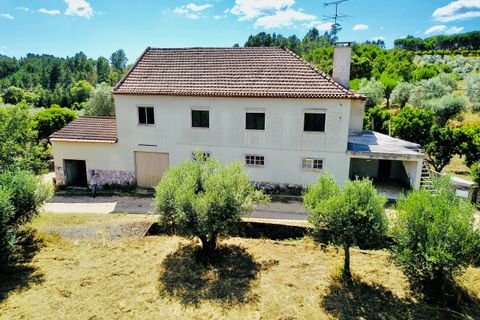 Landejendom i Tomar, Santarem, Tomar - € 270.000 | Ref: TL036 - foto 2
