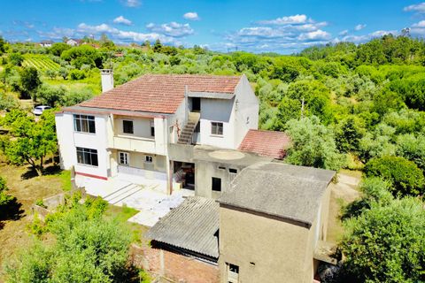 Landejendom i Tomar, Santarem, Tomar - € 270.000 | Ref: TL036 - foto 3