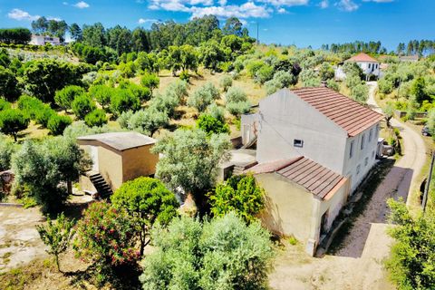 Landejendom i Tomar, Santarem, Tomar - € 270.000 | Ref: TL036 - foto 5