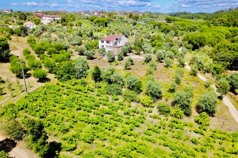 Landejendom i Tomar, Santarem, Tomar - € 270.000 | Ref: TL036 - foto 6