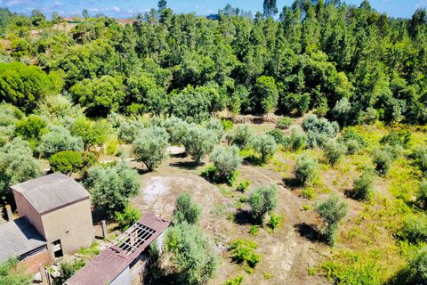 Landejendom i Tomar, Santarem, Tomar - € 270.000 | Ref: TL036 - foto 7