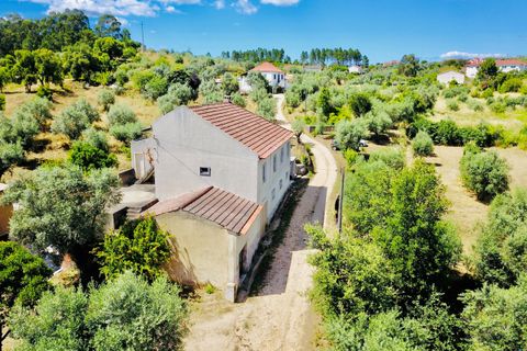 Landejendom i Tomar, Santarem, Tomar - € 270.000 | Ref: TL036 - foto 8