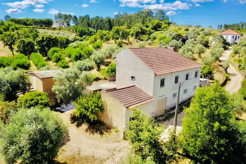 Landejendom i Tomar, Santarem, Tomar - € 270.000 | Ref: TL036 - foto 9