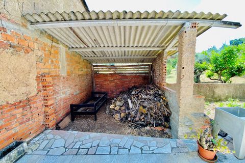Landejendom i Tomar, Santarem, Tomar - € 270.000 | Ref: TL036 - foto 15