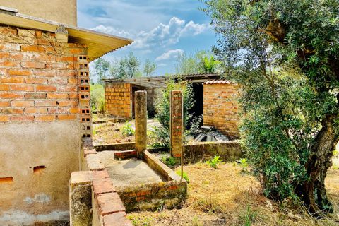 Landejendom i Tomar, Santarem, Tomar - € 270.000 | Ref: TL036 - foto 16