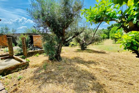 Landejendom i Tomar, Santarem, Tomar - € 270.000 | Ref: TL036 - foto 17