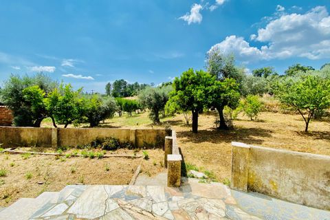 Landejendom i Tomar, Santarem, Tomar - € 270.000 | Ref: TL036 - foto 24