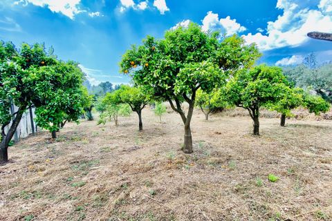 Landejendom i Tomar, Santarem, Tomar - € 270.000 | Ref: TL036 - foto 39