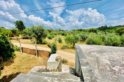 Landejendom i Tomar, Santarem, Tomar - € 270.000 | Ref: TL036 - foto 44