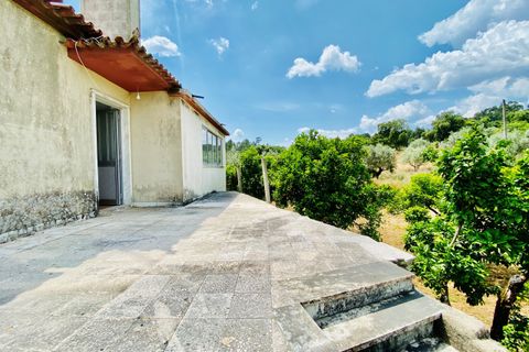 Landejendom i Tomar, Santarem, Tomar - € 270.000 | Ref: TL036 - foto 45