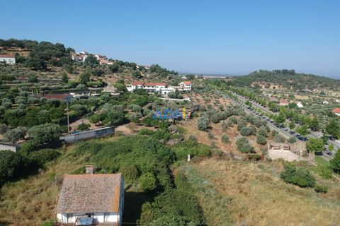 Farm hus i Castelo Branco, Castelo Branco, Castelo Branco - € 1.200.000 | Ref: 125061 - foto 3