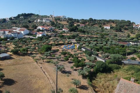 Farm hus i Castelo Branco, Castelo Branco, Castelo Branco - € 1.200.000 | Ref: 125061 - foto 4
