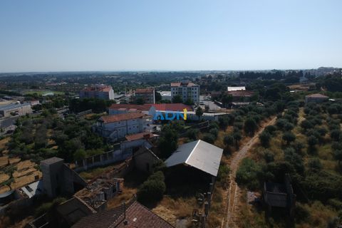 Farm hus i Castelo Branco, Castelo Branco, Castelo Branco - € 1.200.000 | Ref: 125061 - foto 5