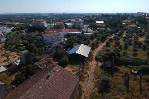 Farm hus i Castelo Branco, Castelo Branco, Castelo Branco - € 1.200.000 | Ref: 125061 - foto 6