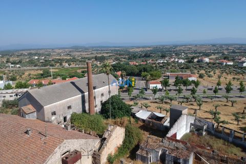 Farm hus i Castelo Branco, Castelo Branco, Castelo Branco - € 1.200.000 | Ref: 125061 - foto 8