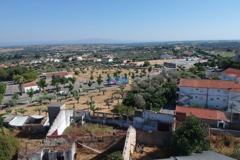 Farm hus i Castelo Branco, Castelo Branco, Castelo Branco - € 1.200.000 | Ref: 125061 - foto 9