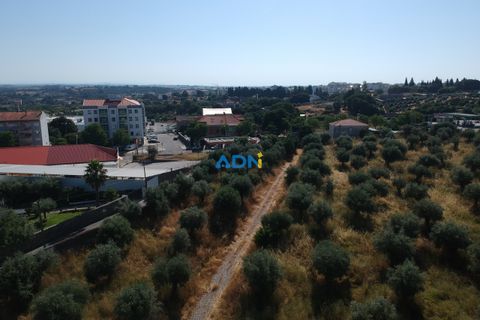 Farm hus i Castelo Branco, Castelo Branco, Castelo Branco - € 1.200.000 | Ref: 125061 - foto 10