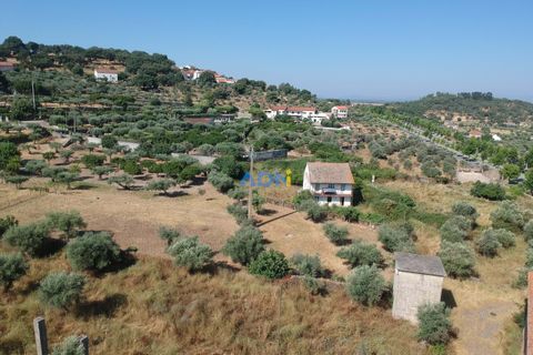 Farm hus i Castelo Branco, Castelo Branco, Castelo Branco - € 1.200.000 | Ref: 125061 - foto 12