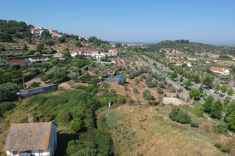 Farm hus i Castelo Branco, Castelo Branco, Castelo Branco - € 1.200.000 | Ref: 125061 - foto 14