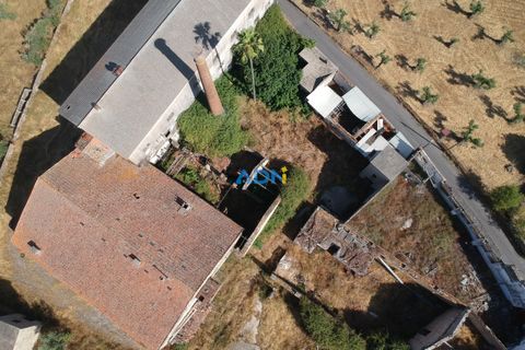 Farm hus i Castelo Branco, Castelo Branco, Castelo Branco - € 1.200.000 | Ref: 125061 - foto 16