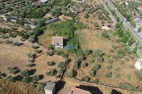 Farm hus i Castelo Branco, Castelo Branco, Castelo Branco - € 1.200.000 | Ref: 125061 - foto 17