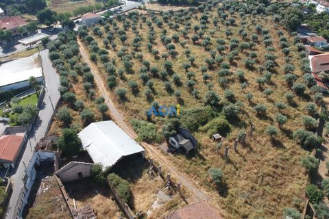 Farm hus i Castelo Branco, Castelo Branco, Castelo Branco - € 1.200.000 | Ref: 125061 - foto 18