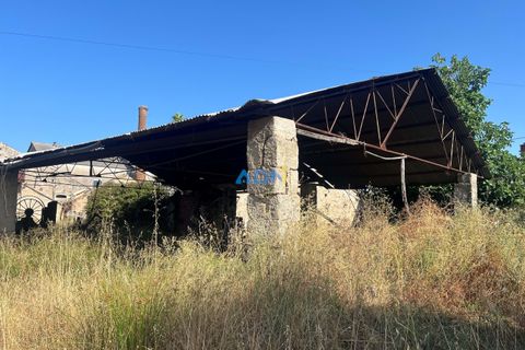 Farm hus i Castelo Branco, Castelo Branco, Castelo Branco - € 1.200.000 | Ref: 125061 - foto 20