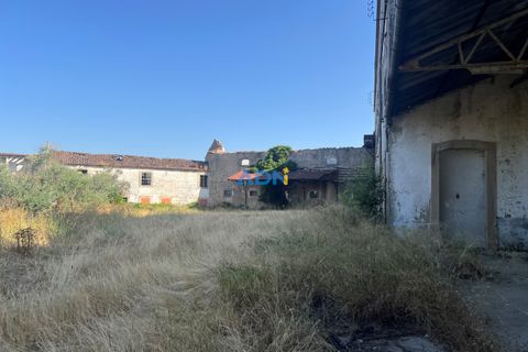 Farm hus i Castelo Branco, Castelo Branco, Castelo Branco - € 1.200.000 | Ref: 125061 - foto 24