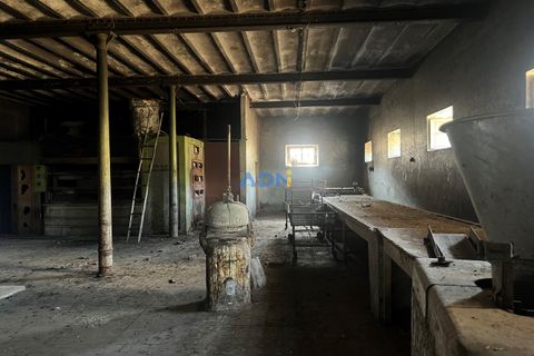 Farm hus i Castelo Branco, Castelo Branco, Castelo Branco - € 1.200.000 | Ref: 125061 - foto 28