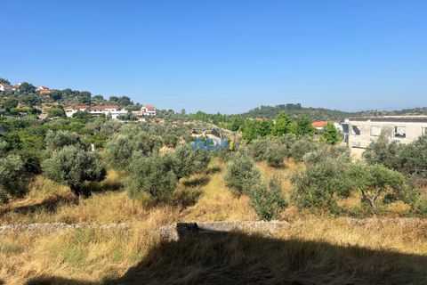 Farm hus i Castelo Branco, Castelo Branco, Castelo Branco - € 1.200.000 | Ref: 125061 - foto 42