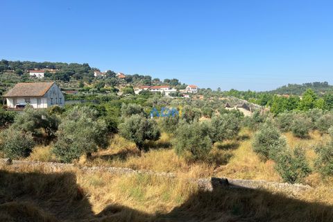 Farm hus i Castelo Branco, Castelo Branco, Castelo Branco - € 1.200.000 | Ref: 125061 - foto 44