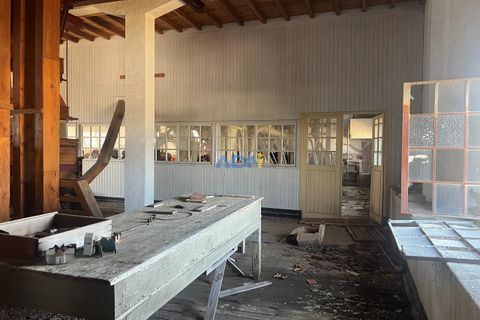 Farm hus i Castelo Branco, Castelo Branco, Castelo Branco - € 1.200.000 | Ref: 125061 - foto 48