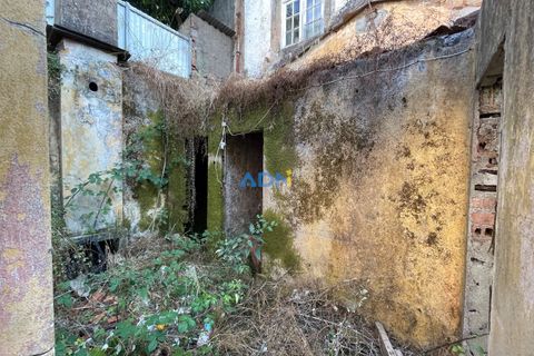 Ruinere i Castelo Branco, Castelo Branco, Castelo Branco - € 95.500 | Ref: 125066 - foto 21