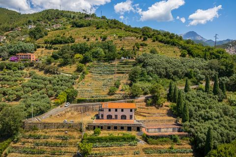 Villa a Seravezza, Lucca, Seravezza - € 1.700.000 | Ref: CBI129-1110-130505 - foto 11
