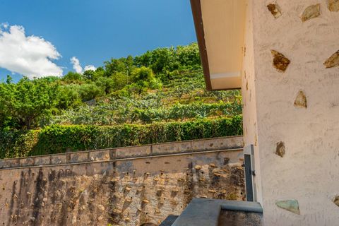 Villa a Seravezza, Lucca, Seravezza - € 1.700.000 | Ref: CBI129-1110-130505 - foto 17