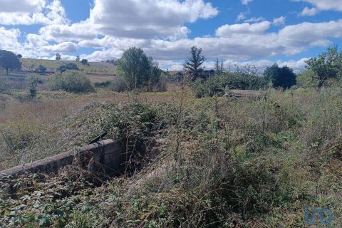 Terra a Mogadouro, Braganca, Mogadouro - € 6.000 | Ref: 144935 - foto 2