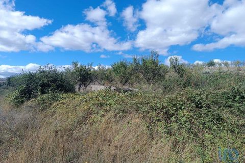 Terra a Mogadouro, Braganca, Mogadouro - € 6.000 | Ref: 144935 - foto 3