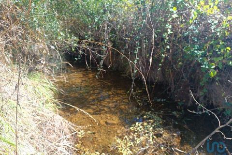 Terra a Mogadouro, Braganca, Mogadouro - € 6.000 | Ref: 144935 - foto 4